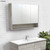 Mirror Cabinet w/Display Shelf 1200mm Industrial [169170]