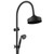 Multifunction Lillian Twin Rail Shower Matte Black 3Star [181041]
