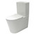 Edge II Rimless Back-to-Wall Edge Suite w/Slim Seat White 4Star [202492]