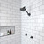 Raven Hi Rise Shower 3 Function Black [203071]