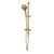 Rome Hand/Rail Shower 3Star Classic Gold [203457]