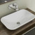 Gem Inset Basin L/Overflow White NTH [131743]