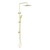 Project Twin Shower (Square) 3Star Brushed Gold [287095]