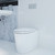 Liano Back-to-Wall Faced Invisi Series II® Toilet Suite Soft Close White 4Star [133489]