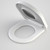 Family D Shape Toilet Seat [289165]