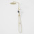 Urbane II Rail Shower with 300mm Overhead Brushed Brass 3Star [196130]