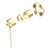 Mecca Care Shower Mixer (Trim Kit Only) Brushed Gold [290012]