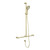 Mecca Care 32mm T Bar Grab Rail and Adjustable Shower Set 1100 x 750mm Brushed Gold [293218]