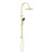Opal Twin Shower Set with Air Shower II Brushed Gold [293882]