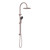 Opal Twin Shower Set with Air Shower II Brushed Bronze [293862]