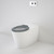 Care 800 Cleanflush® Wall Faced Invisi Series II® Toilet Suite Pedigree II Care Single Flap Seat Anthracite Grey [137907]