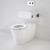 Care 800 Cleanflush® Invisi Series II® Wall Faced Suite w/Backrest & Pedigree II Care Single Flap Seat White 4Star [137914]