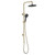 Kaya Rail Twin Shower 3Star 9lpm PVD Urban Brass with Electroplated Matte Black Head [201951]