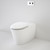 Care 800 Cleanflush® Wall Faced Invisi Series II® Toilet Suite With Double Flap Seat [137916]