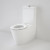 Care 800 Cleanflush® Wall Faced Close Coupled Easy Height Toilet Suite Caravelle Care Single Flap Seat Sorrento Blue 4Star [137917]