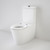 Care 800 Cleanflush® Wall Faced Toilet Suite - Pedigree II Care Single Flap Seat - White [137933]