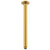 Soul Shower Dropper 300mm Brushed Brass [295744]