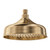 Lillian Shower Head Urban Brass [270034]
