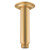Eternal Shower Dropper 100mm Brush Brass [296129]