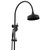 Eternal Gooseneck Twin Shower Set Black [296099]