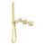 Opal Progressive Shower System Separate Plate Trim Kits Only Brushed Gold [297177]
