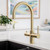 4-in-1 Filtered Boiling, Filtered Ambient, Hot and Cold Tap Brushed Gold [288826]