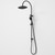 Contura II Rail Shower with Overhead - Black [298626]