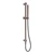 Zen SS316L Shower Rail with Outdoor Shower Hose Brushed Bronze [300266]