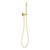 Zen SS316L Shower on Bracket Brushed Gold [300211]