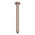 Zen SS316L Round Ceiling Arm 300mm Length Brushed Bronze [300259]