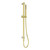 Zen SS316L Shower Rail Brushed Gold [300337]