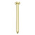 Zen SS316L Round Ceiling Arm 300mm Length Brushed Gold [300113]