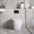 Geberit Sigma 30 Rectangular Button Dual Flush Plate Matte Black [301666]