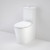 Care 660 Ambulant Cleanflush Wall Faced Close Coupled Easy Height Back Entry Suite with Double Flap Seat White 4Star [165969]
