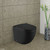 Koko Wall-Faced Pan + Seat (Only) P-Trap Matte Black [304247]