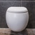 RAK Cloud Wall-Hung Pan + Seat ONLY (cistern not included) Matte White [304132]