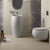 RAK Cloud Wall-Hung Toilet Suite Pan + Seat + Viega V-02 In-Wall Cistern Matte White [304325]