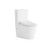 Catania Standard Bidet Seat with Luna Rimless Toilet [304954]