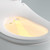 Catania Bidet Seat with Vega Tornado Rimless Toilet [304949]