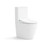 Thea Luxury Bidet Seat with Vega Rimless Toilet [304955]