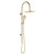 Empire Slim Curved Twin Shower Urban Brass [307783]