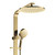 Empire Slim Deluxe Twin Shower Urban Brass [307771]