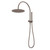 Liano II Compact Twin Shower with Overhead Brushed Bronze [310721]