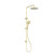 Round Twin Shower Brushed Gold [305737]