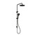 Round Twin Shower Matte Black [305712]