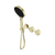 Serenity Progressive Shower System with Metal Handle and Serenity Hand Shower Brushed Gold [309146]
