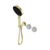 Serenity Progressive Shower System with Carrara Handle and Serenity Hand Shower Brushed Gold [309426]