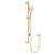 Care Rail Shower with Push Pull Slider Urban Brass [313414]