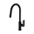 Bianca Pull-Out Sink Mixer with Veggie Spray Function Matte Black [313744]