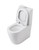 Naples Comfort Height Back-to-Wall Suite [310548]